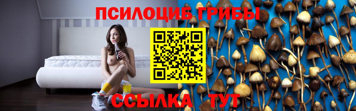 Пыть-Ях  Галлюциногенные грибы Cubensis  Вход с VPN 